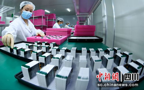 南充蓬安 擘畫新藍圖 開啟新征程