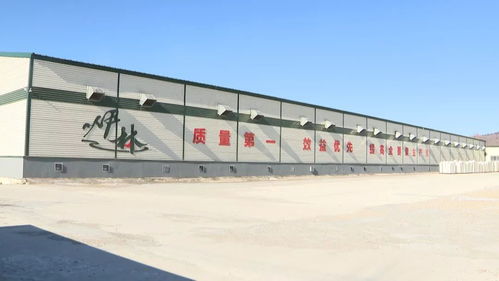 產業發展描繪新圖景