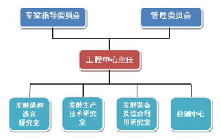 醬油,食品公司,加加食品,調(diào)味食品,糧油食品,十大品牌食品,組織架構(gòu)及崗位職責(zé) 醬油 食品公司 加加食品 調(diào)味食品 糧油食品 十大品牌食品 加加食品集團(tuán)股份
